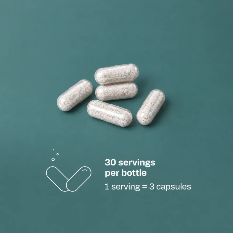 OstroVit Magnesium Glycinate | Магния бисглицинат 90 капсул