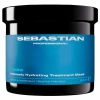 Sebastian Professional Hydre Hydrating Mask | Intensiivs niisutav juuksemask kuivadele ja kahustele juustele 500 ml
