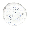 HADAT Microcapsules Shampoo | Восстанавливающий шампунь с микрокапсулами 250 мл / 800 мл