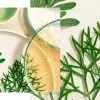 Natura Bissé Tolerance Recovery Cream | Rahustav taastav näokreem tundlikule nahale 50 ml